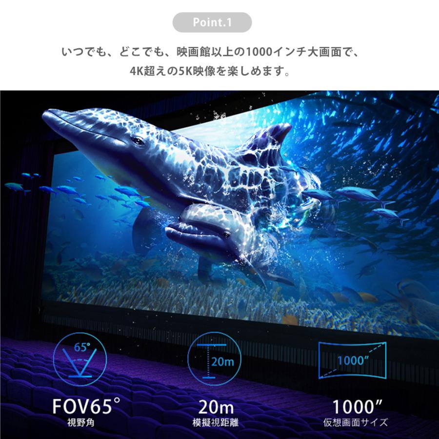 GOOVIS G3 Max オールインセットAll in set (G3本体＋D4＋専用ケース＋