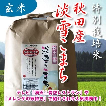 あきたこまち 米 お米 玄米 5kg 淡雪こまち 秋田産 特別栽培米 5年産