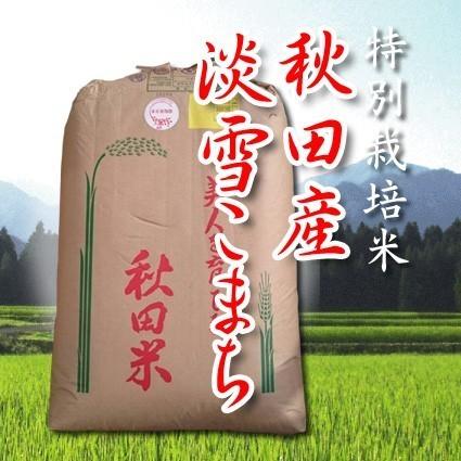 あきたこまち 米 お米 玄米 5kg 淡雪こまち 秋田産 特別栽培米 5年産