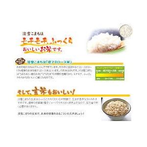 あきたこまち 米 お米 玄米 5kg 淡雪こまち 秋田産 特別栽培米 5年産