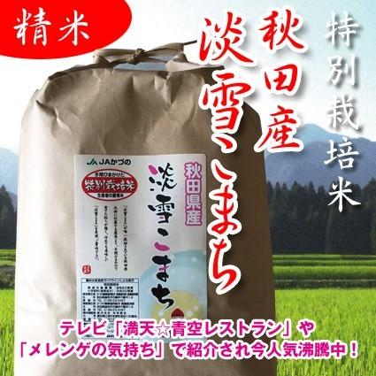 あきたこまち 米 お米 5kg 淡雪こまち 秋田産 特別栽培米 5年産