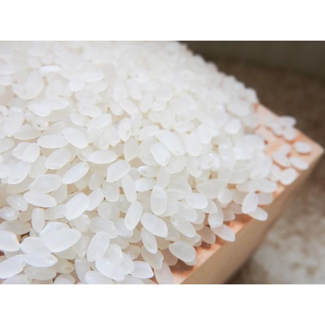 ハツシモ 米2kg お米 精米 岐阜県産 美濃ハツシモ 7年産 : 無農薬・減