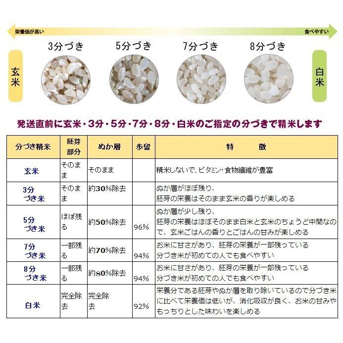 ハツシモ 米5kg お米 精米 岐阜県産 美濃ハツシモ 7年産 : 無農薬・減