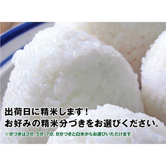 銀の朏 ぎんのみかづき お米5ｋｇ 5年産 特別栽培米 化学肥料不使用 飛騨下呂産｜owarinokomegura｜02