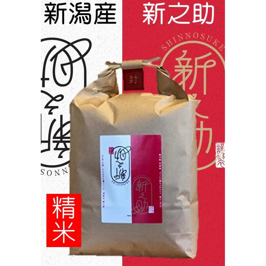 新之助（しんのすけ） 米 お米 5kg 7年産 新潟産 特別栽培米 新潟県