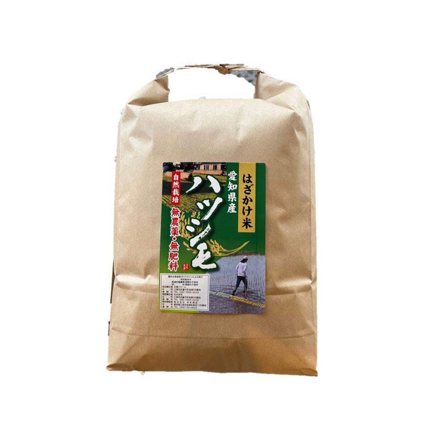 オーガニック 自然栽培 無農薬 無肥料 玄米 5kg 5年産 愛知産 は