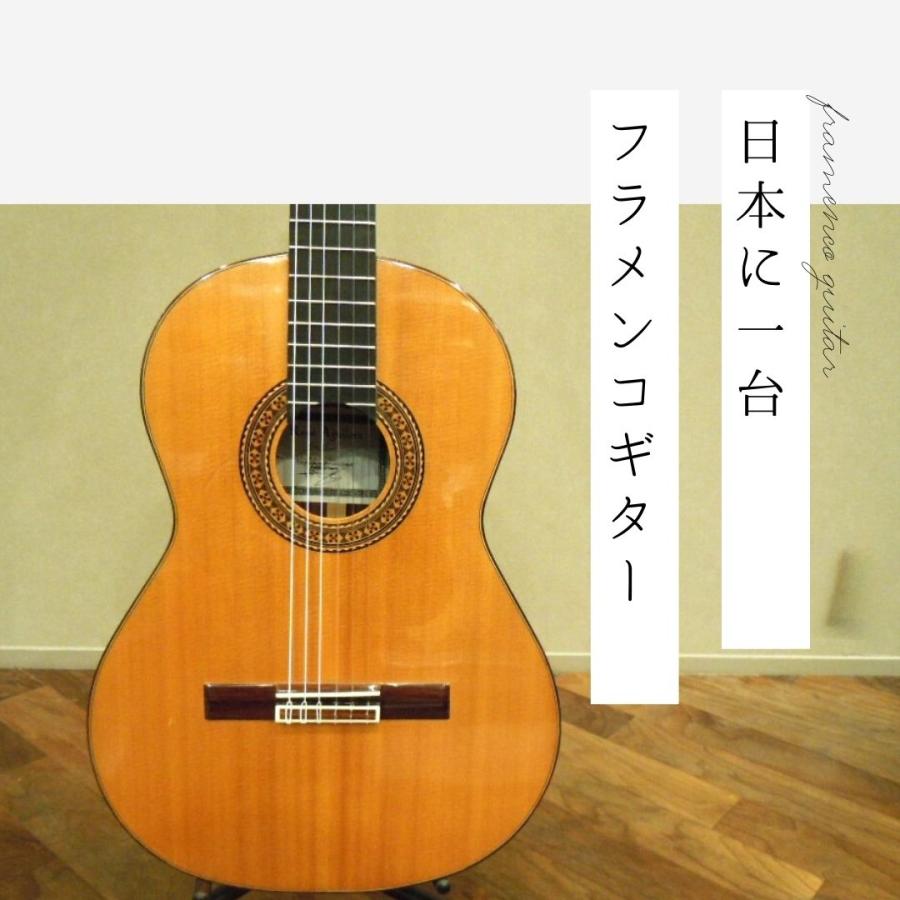 激安販売店 フラメンコギター　スペイン製　レネ・アギレラ