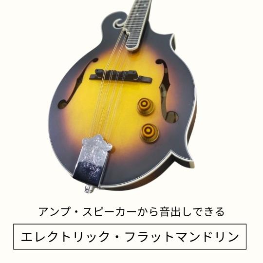 マイク搭載2通り演奏できるFタイプフラットマンドリン｜アンプ接続