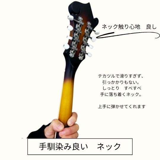 マイク搭載2通り演奏できるFタイプフラットマンドリン｜アンプ接続