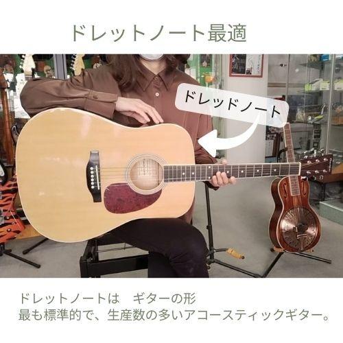 DCM アコースティックギター用(ドレッドノート)ハードケース