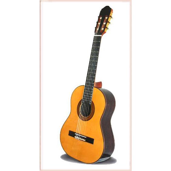 レキントギター スペイン製manuel Fernandez 専用ハードケースセット Gmf 95 おかげ様で創業100年オワリヤ楽器 通販 Yahoo ショッピング