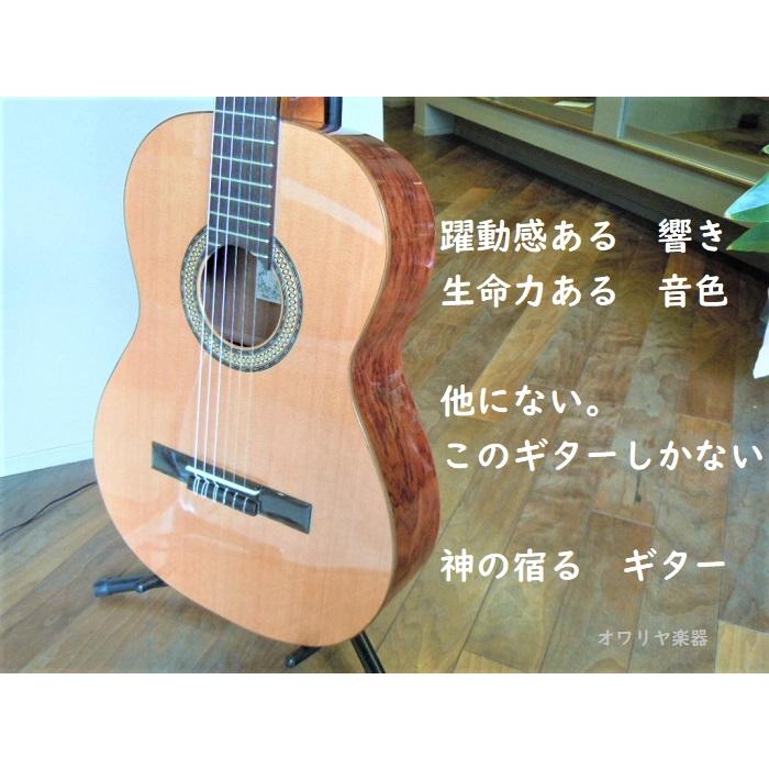 クラシックギター スペイン製 ブビンガ シダー単板 ナイロン弦 手工 高 