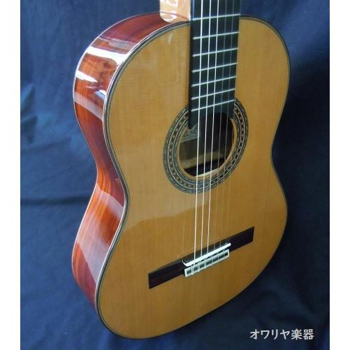 クラシックギター スペイン製 610mm ココボロ単板級仕様 シダー単板