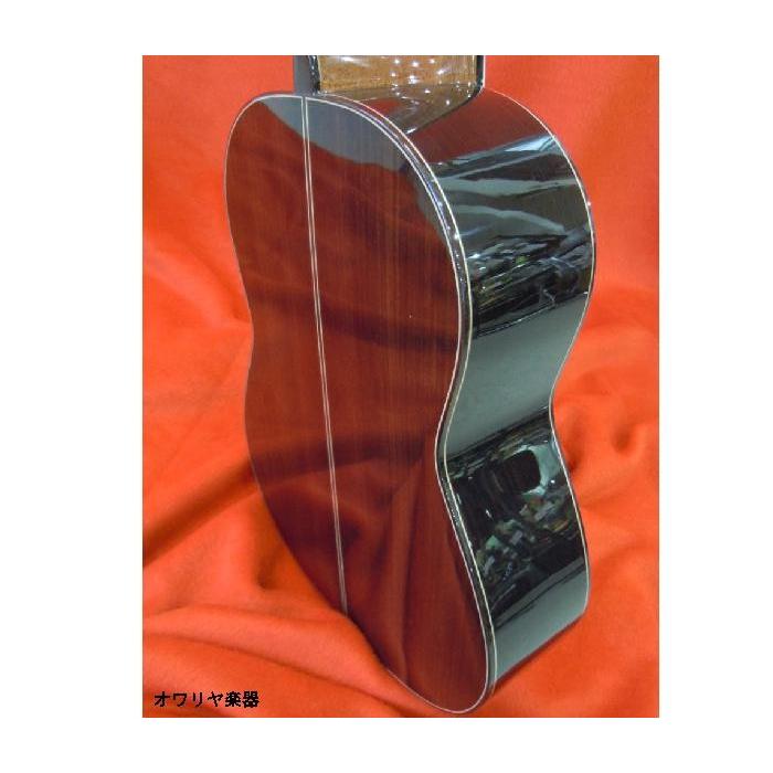 (税込) 最高級クラス 総単板スペイン製レキントギター【表板シダー】 専用ハードケースセット