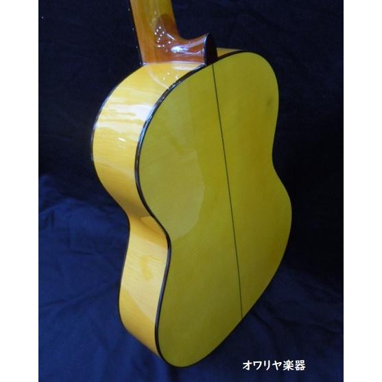 フラメンコギター Manuel Fernandez スペイン製 ハードケース : おかげ