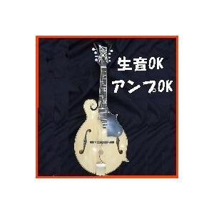 エレクトリックフラットマンドリン IMPERIAL1500スタジオ ハードケース 