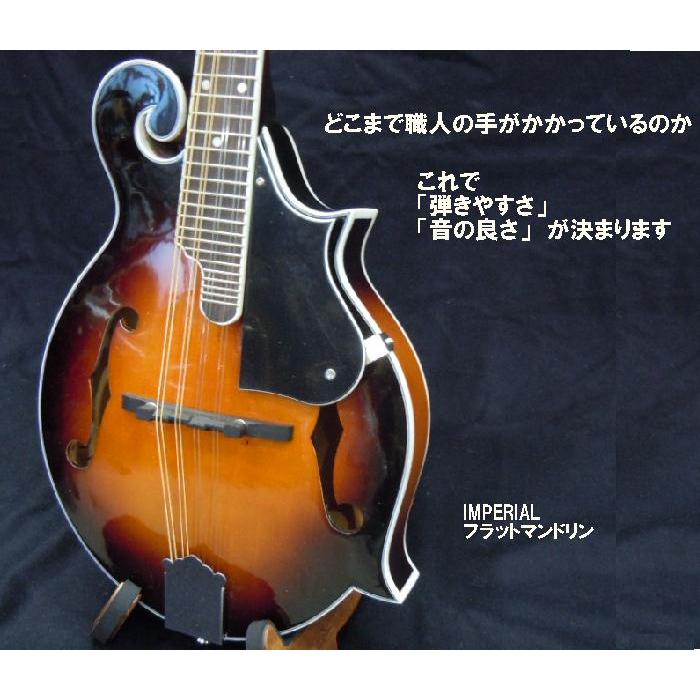 職人造りフラットマンドリン 新品アウトレット 1年保証付き 職人造りフラットマンドリン 新品アウトレット 1年保証付き