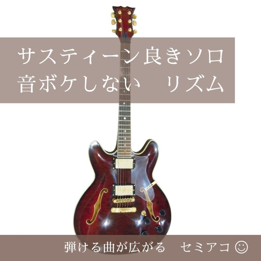 セミアコースティックギター ギブソン Gibson ES335タイプ | 新品 