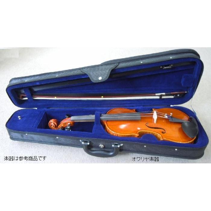 最安値】 バイオリンケース 3／4サイズ - 弦楽器 - hlt.no