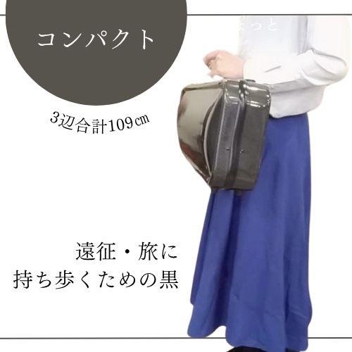 バイオリンケース カーボン 日本製 軽量 コンパクト 新品アウトレット