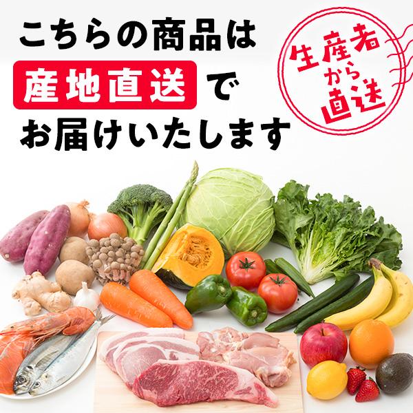 野菜 トマト 送料込(3)ソムリエミニトマト　プラチナ1kg（60から90玉） 産地直送｜owl-food｜10