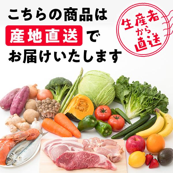野菜 トマト 送料込み(1)ソムリエミニトマト　ダイヤ1kg 産地直送｜owl-food｜10