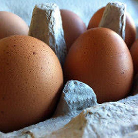 販売期間2023 12 27まで 卵 鶏卵  産地直送