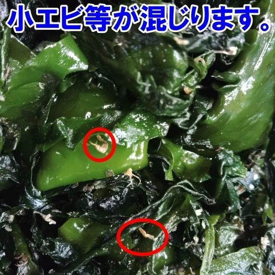 魚介類 海藻  塩蔵ワカメ B級品 訳あり品 塩蔵わかめ ２ｋｇ入 産地直送｜owl-food｜03