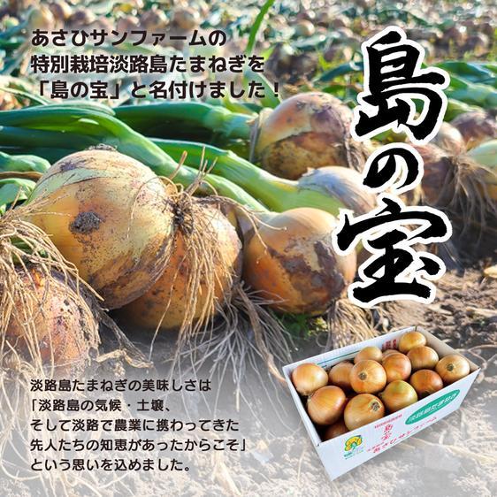 野菜 玉ねぎ 淡路島産新たまねぎ 2.5kg 特別栽培 あさひサンファーム 産地直送｜owl-food｜07