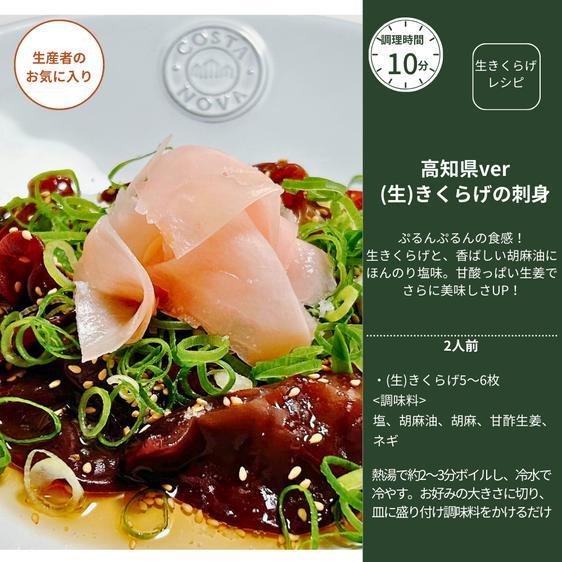 野菜 セット・詰め合わせ 【食べ比べ】（生）黒きくらげ500g＆きくらげ入り蒟蒻10袋 産地直送｜owl-food｜09