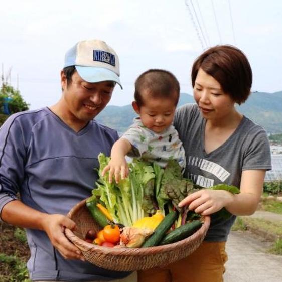 野菜 セット・詰め合わせ 九州発！栽培期間化学肥料?農薬不使用　旬の野菜8品詰め合せ 産地直送｜owl-food｜05