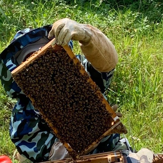 はちみつ はちみつ INAHO FARMのGentle Honey 産地直送｜owl-food｜02