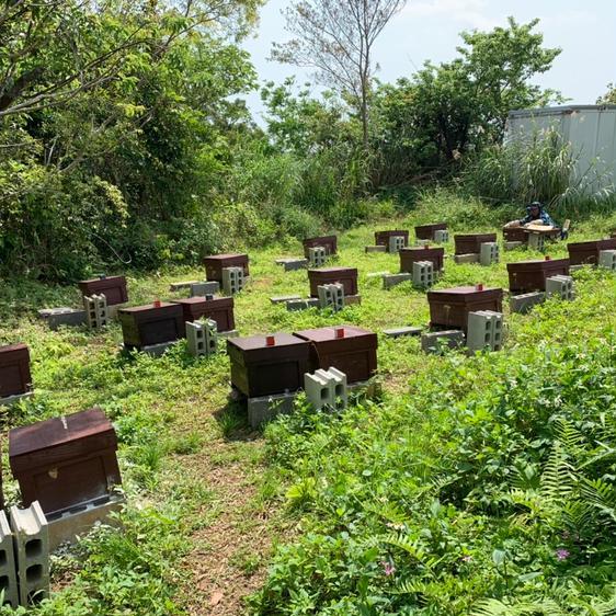 はちみつ はちみつ INAHO FARMのGentle Honey 産地直送｜owl-food｜04