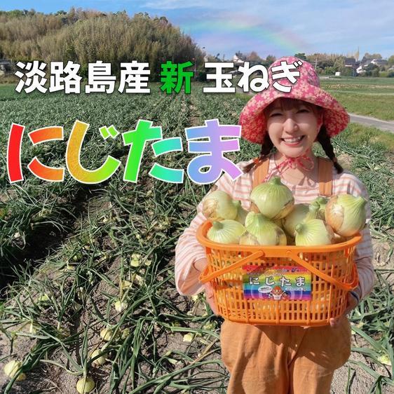 販売期間2024/05/31まで 野菜 玉ねぎ 淡路島産ブランド新玉ねぎ 『にじたま』早生 ビックサイズ３玉 産地直送｜owl-food｜04