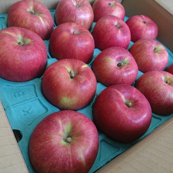 販売期間2024/05/31まで 果物 りんご シナノスイートご家庭用約3kgスマートフレッシュでパリパリ！ 産地直送｜owl-food｜05