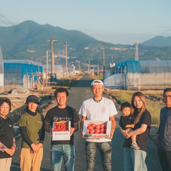 野菜 トマト 笑顔溢れる甘さ！！超濃厚ミニトマト「トマランタン1キロ」 産地直送｜owl-food｜04