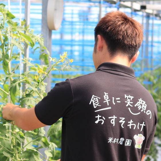 販売期間2024/06/30まで 野菜 トマト 昔ながらの味わい「うみとまと32〜20玉」 産地直送｜owl-food｜03