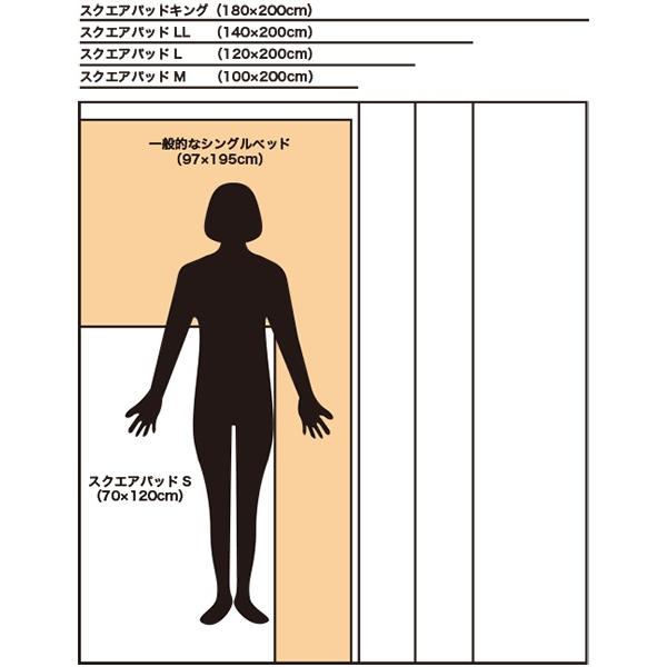 アルファウェーブ スクエアパッド ベージュ LLサイズ : 元気屋 アウル