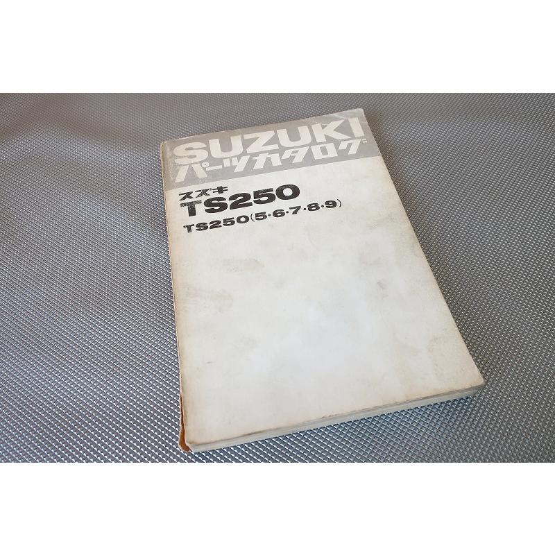 即決！ハスラー250//パーツリスト/TS250-5/6/7/8/9/TS2503/TS2504(481