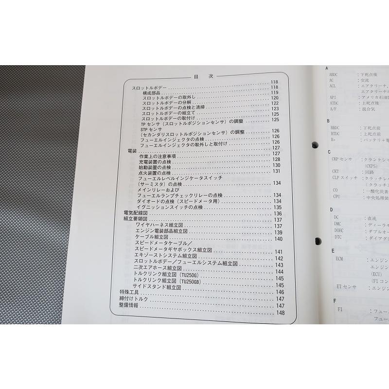 即決！グラストラッカー250/ビッグボーイ/サービスマニュアル補足版