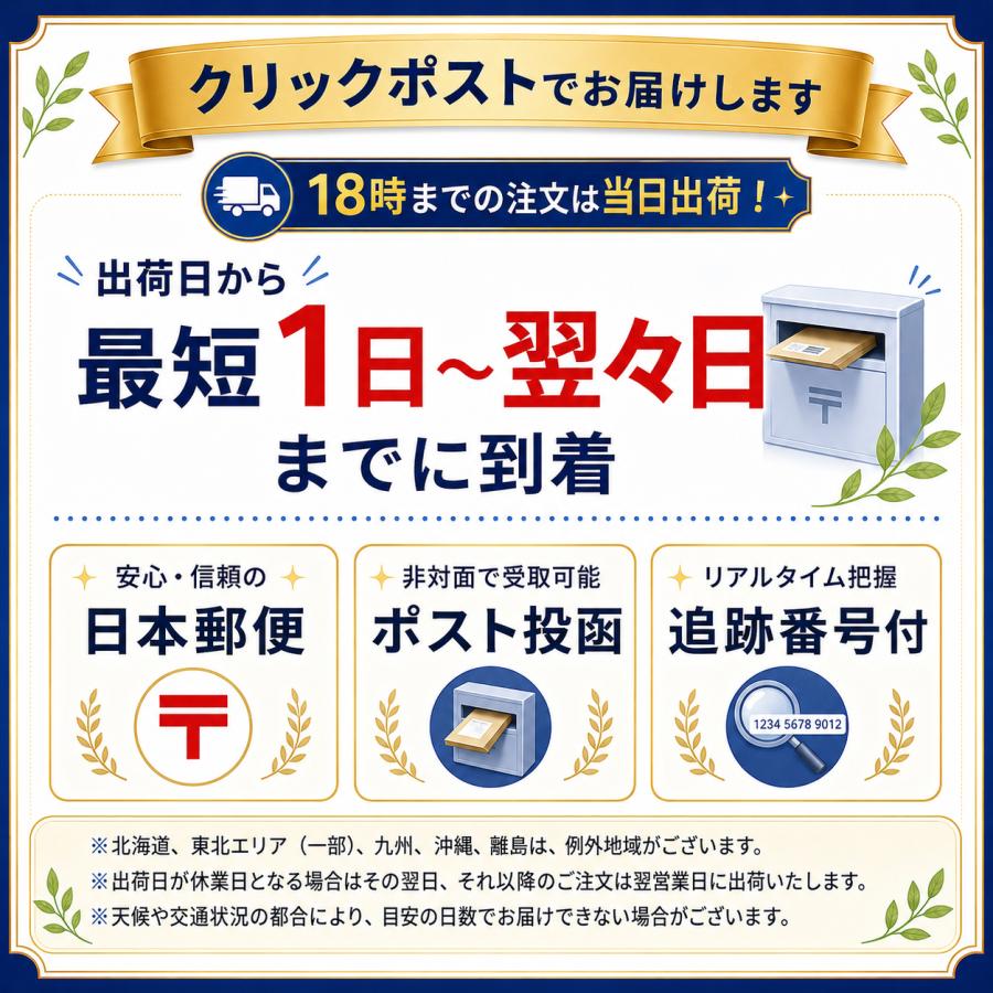 カードセイバー PSA鑑定 5枚 セット 鑑定 提出用 依頼 キット カード
