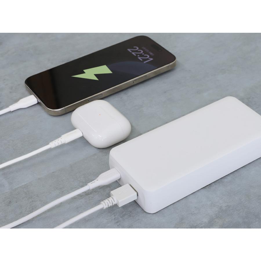 モバイルバッテリー 大容量 20000mAh PD 30W USB Type-C入出力／USB Type-A出力 PSE 認証 取得済み | Owltech | 11
