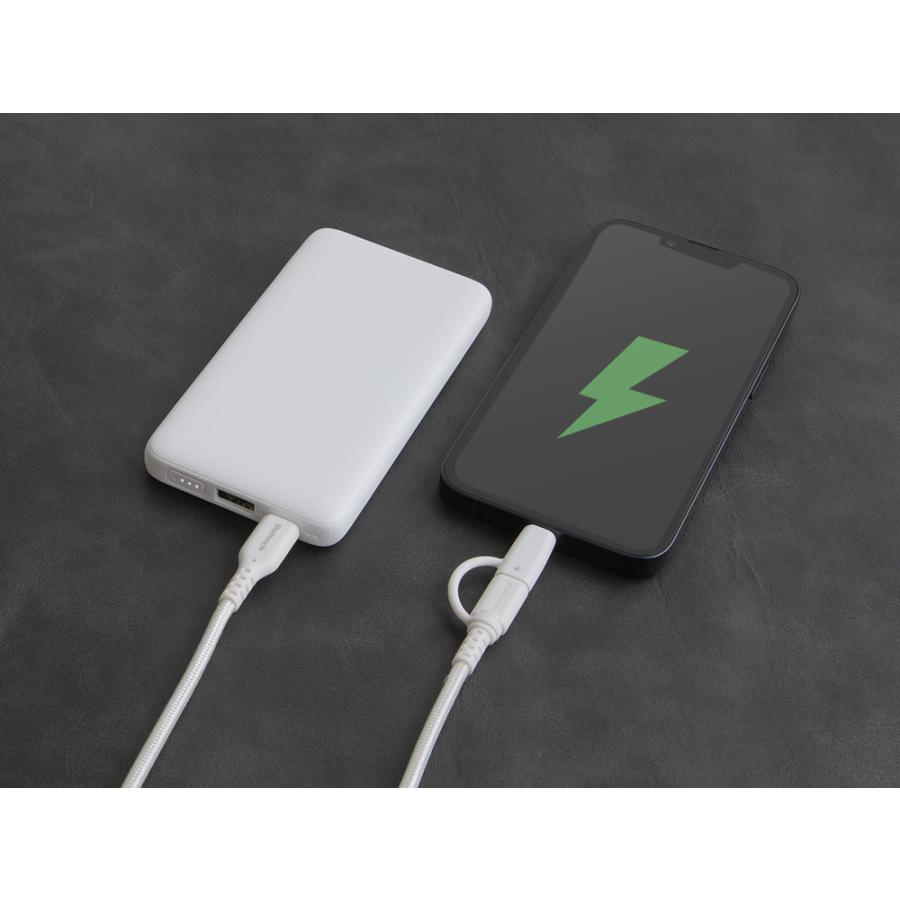 充電ケーブル 2in1 ライトニング type-c to type-c / Lightning PD60W 断線に強い | Owltech | 12