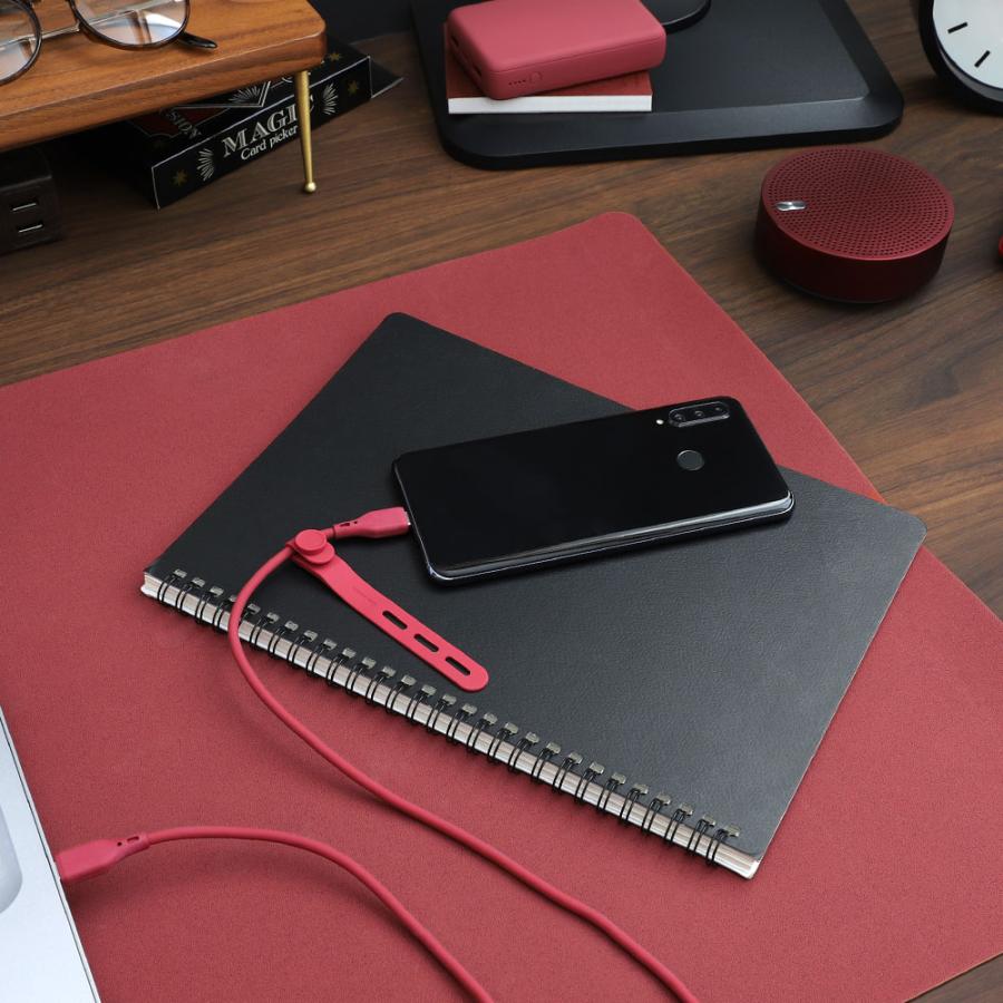 type-c ケーブル 充電ケーブル type-c to type-c 1m 2m 充電 データ転送 アースカラー | Owltech | 13