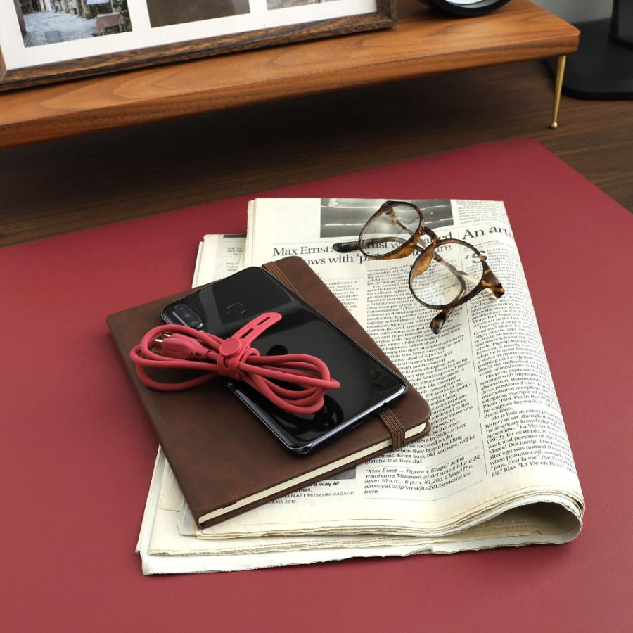 type-c ケーブル 充電ケーブル type-c to type-c 1m 2m 充電 データ転送 アースカラー | Owltech | 18