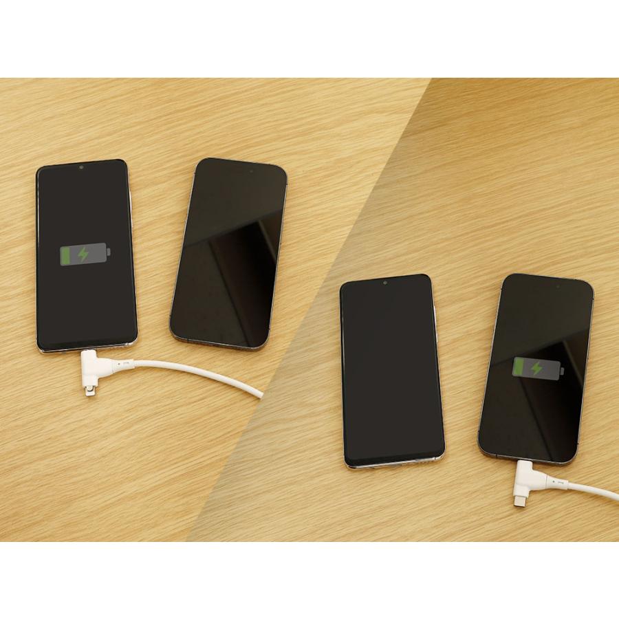 2in1 充電ケーブル USB Type-C to Type-C／Lightning シリコンケーブル | Owltech | 07