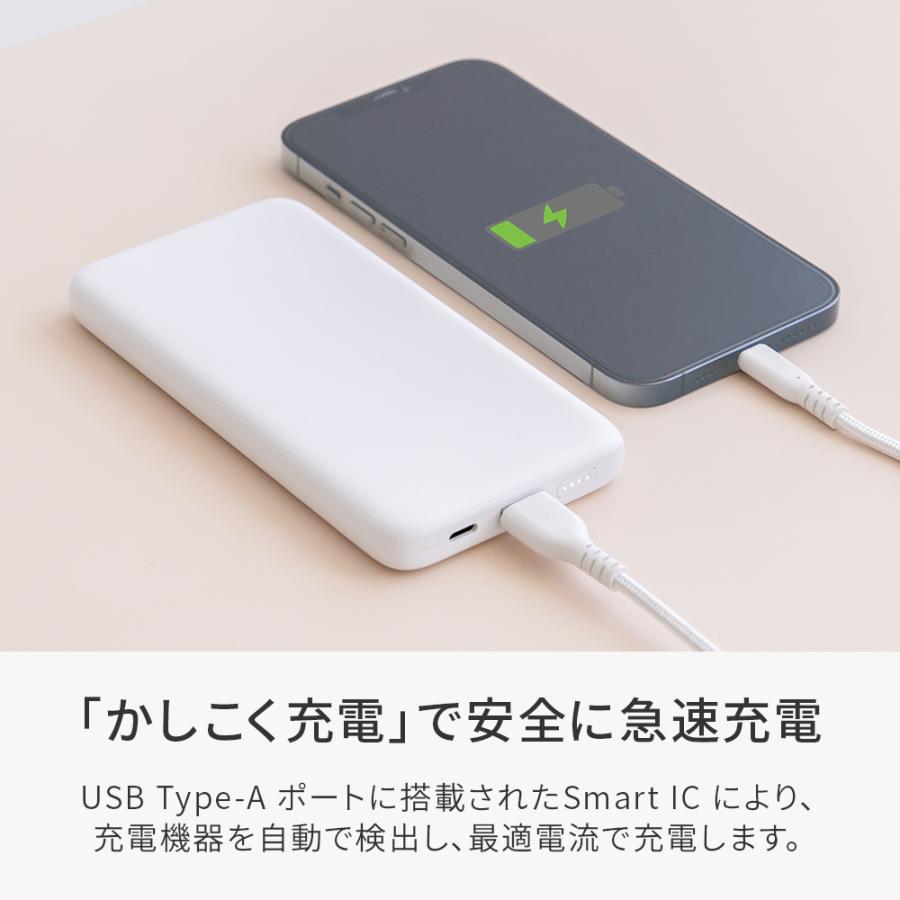 Owltech（オウルテック） モバイルバッテリー 薄型 10000mAh 2台同時