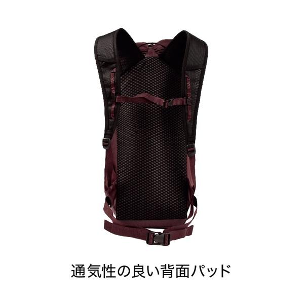 BLUE ICE(ブルーアイス) ドラゴンフライ18 100329 : 帆布バッグ・登山