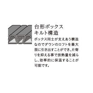oxtos 【レギュラー】NANGA×oxtos アネモス450【シュラフ/寝袋/ダウン 