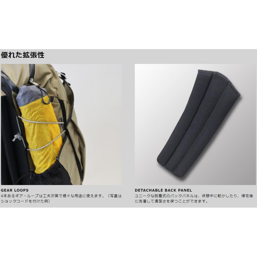 PaaGo WORKS（パーゴワークス）BUDDY 22 HP202の画像